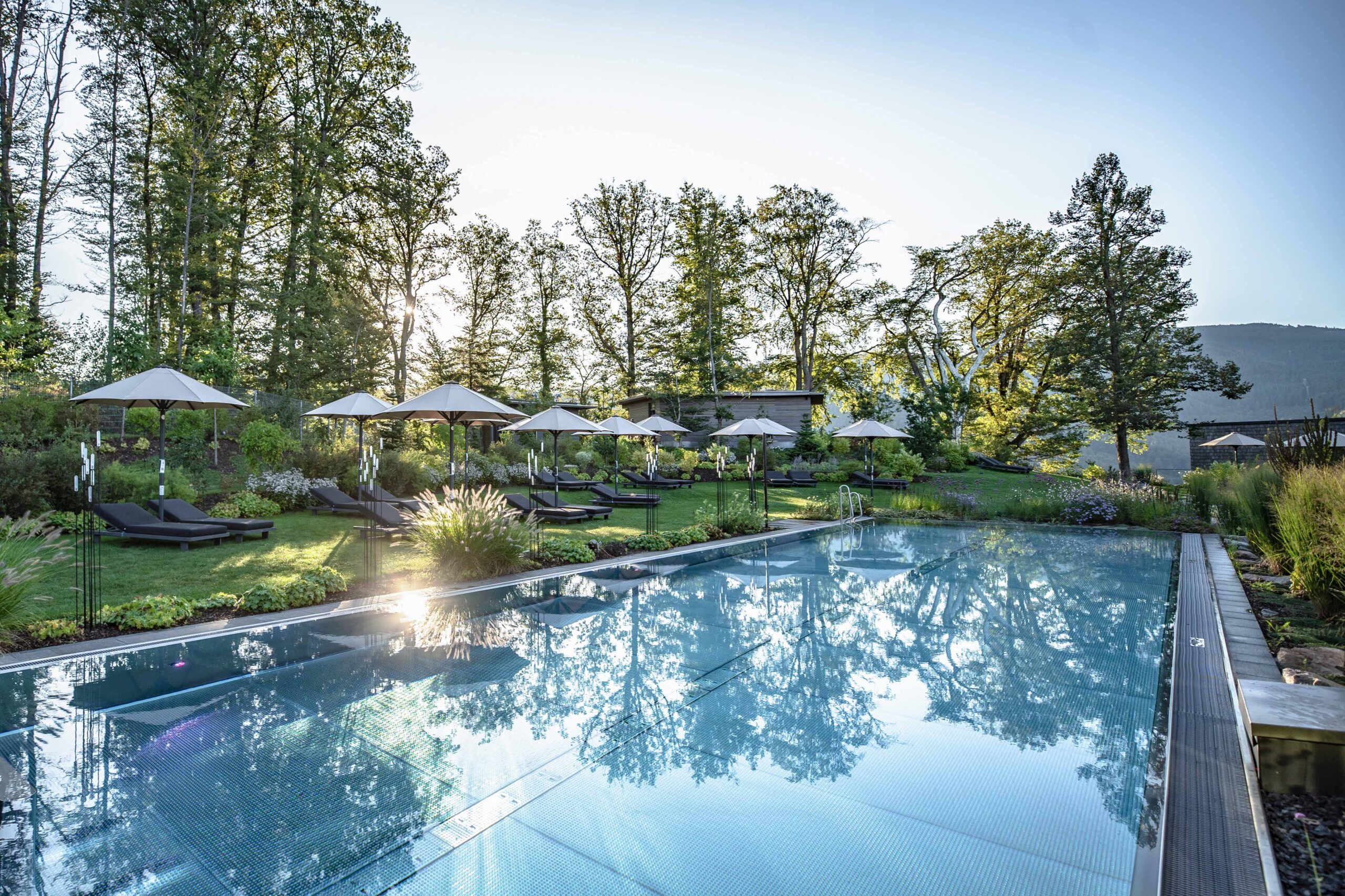 A serene outdoor swimming pool reflects tall trees and blue sky at sunrise, surrounded by green grass, sun loungers, and white umbrellas in a peaceful garden setting.