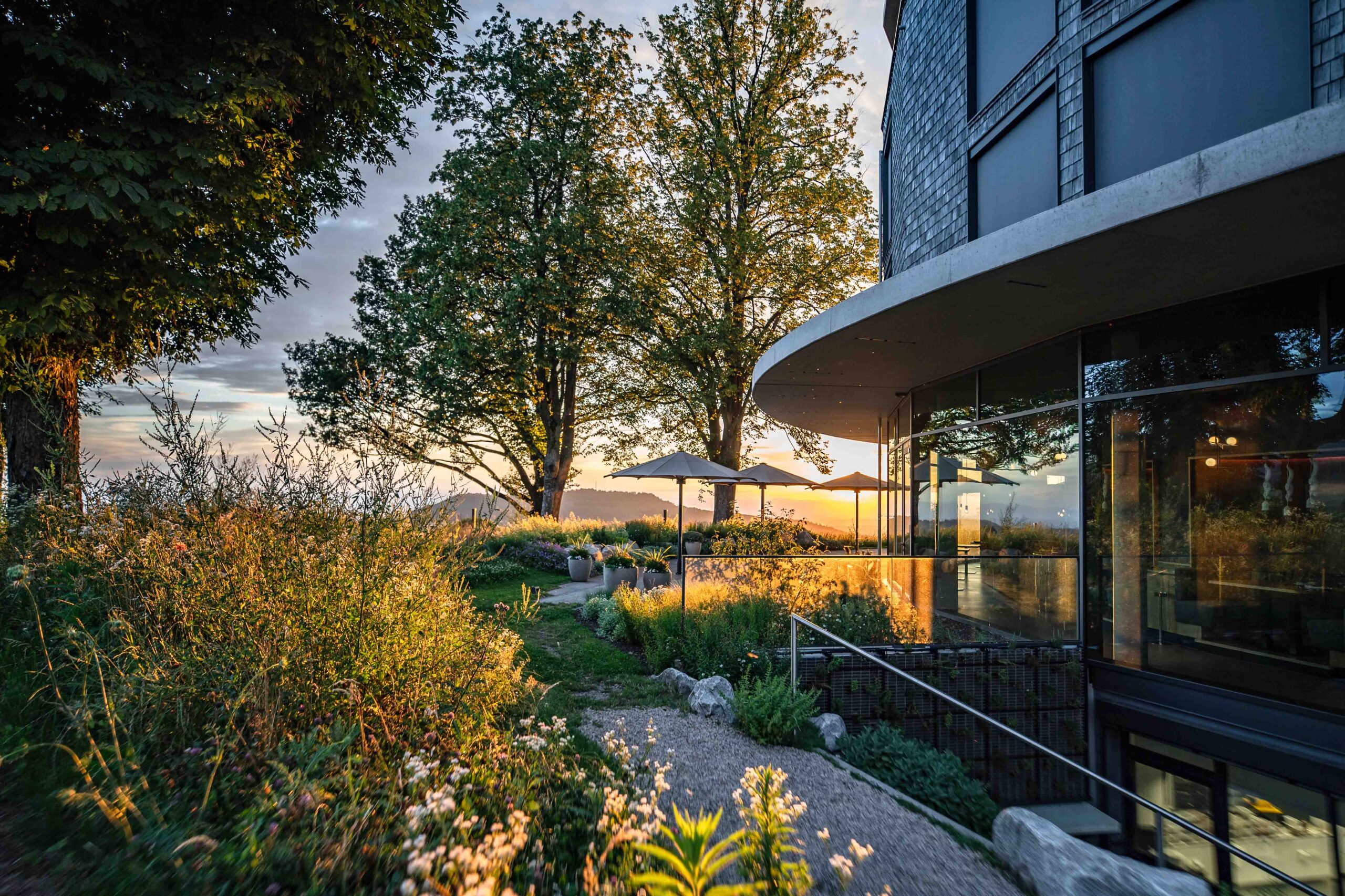 Ein modernes Gebäude mit großen Fenstern bietet bei Sonnenuntergang einen Blick auf einen Garten und einen Weg mit hohen Bäumen und üppigem Grün, das vom goldenen Sonnenlicht beleuchtet wird.