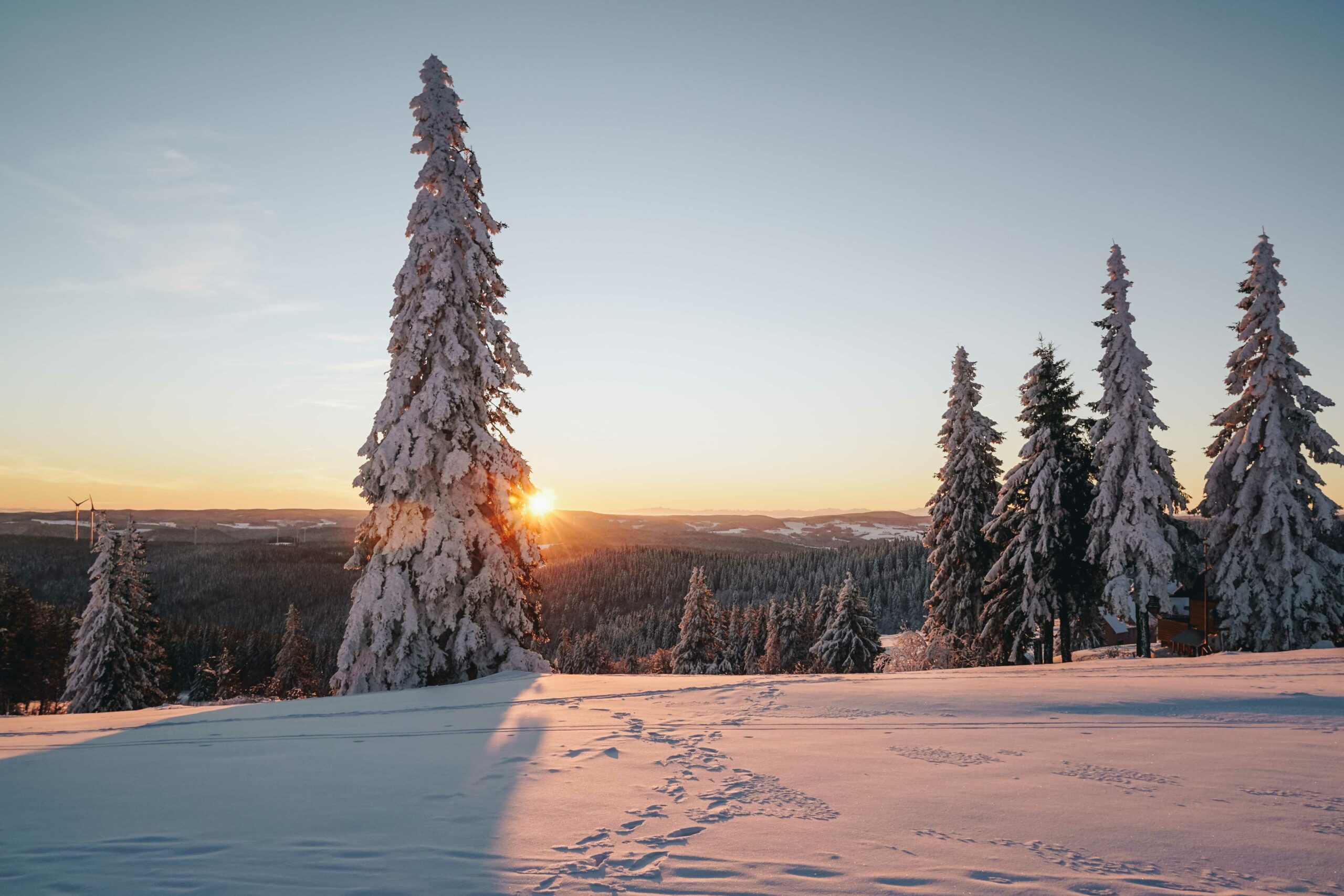 Schneeschuh- / Winterwandern Schwarzwald Luisenhöhe