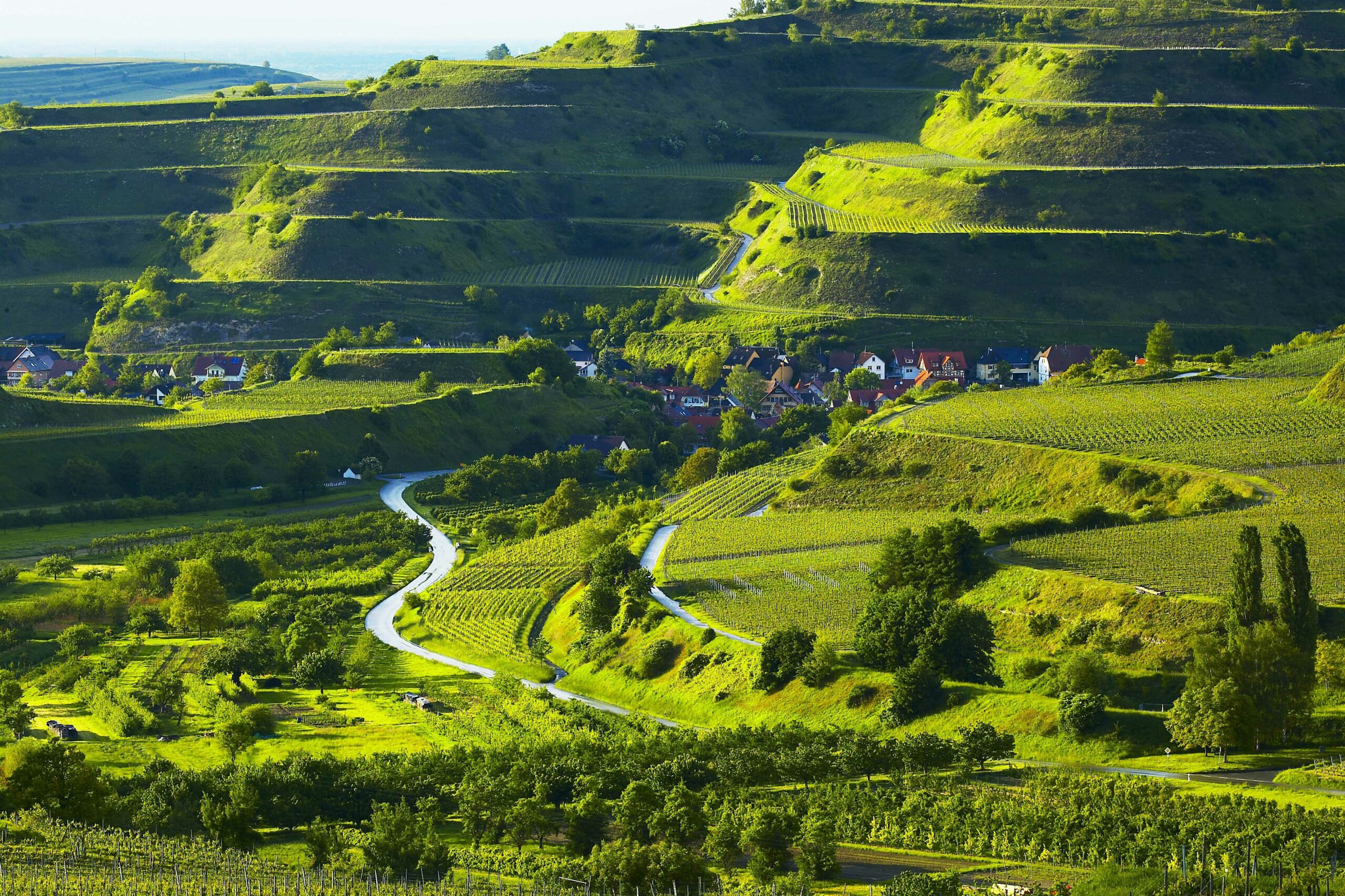 Wandern Kaiserstuhl Luisenhöhe